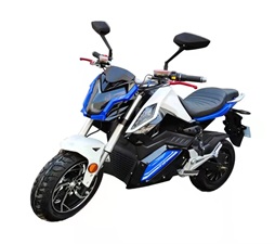 Model:Z6   2000W/3000W off-road powerful electric motorcycle