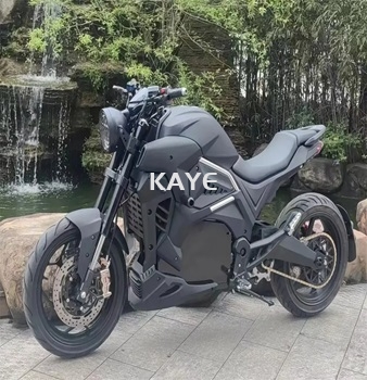 Leader /Factory Racing Electric motorcycle Adult 100km/h 5kw Adult Electric Sportbike